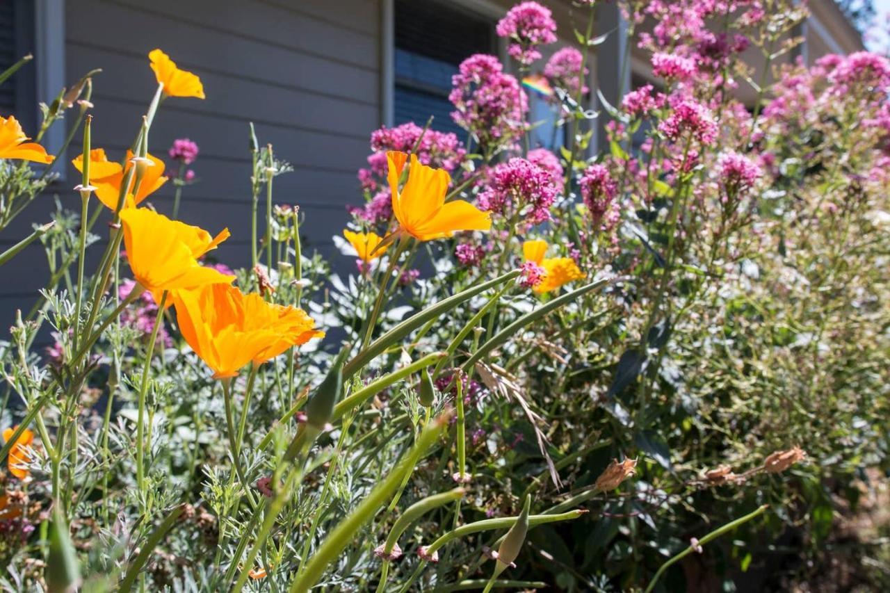 West End Neighborhood Cottage Santa Rosa Esterno foto